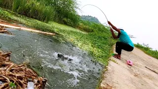 Fishing|BAAM Fish Catching|Fisher Man Catch With Cat Fish and Baam Fishes|Baam Fishing |Cat Fishing