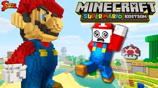 Minecraft Super Mario Adventure on Switch! Part 2!!