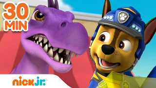 PAW Patrol Wild Dinosaur Rescues! w/ Chase, Rex & Rubble | 30 Minute Compilation | Nick Jr.