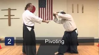 Katate Dori-Shiho Nage Japanese Aikido Techniques : Aikido Techniques