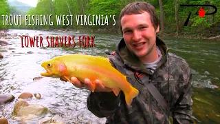 Trout Fishing West Virginia's Shavers Fork