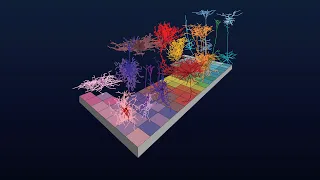 Cell Type Taxonomies A to Z:  What is a Taxonomy?