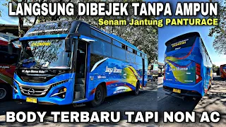 Dibejek Tanpa Ampun ❗️ Senam Jantung Naik Bus Non AC Body Terbaru ❗️| trip Jaya Utama L 7149 UB