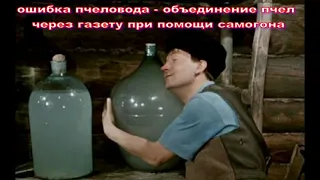 ошибка пчеловода - объединение пчел через газету при помощи самогона