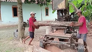 PENGOLAHAN KAYU KELILING//Travelling Sawmill