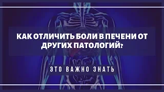 Как понять, что у вас болит именно печень?