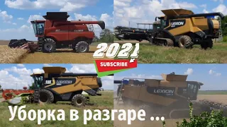 CAT Lexion 585 R .CAT Lexion 580 R . CASE IH AXIAL-FLOW 6140 .Уборка 2021 в самом разгаре.Агро Блог.