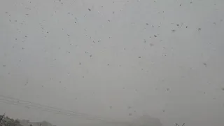 Winter weather hits parts of New Mexico