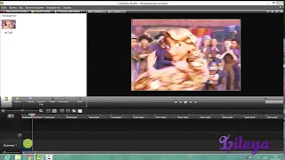 ✔ КАК ВСТАВИТЬ GIF В CAMTASIA STUDIO?