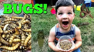 Caleb & Mommy Play Bug Hunt For Super Worms and REAL BUGS OUTSIDE! Pretend Play with Insects!