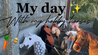 My day with my hobby horses 🐴✨🥕🧹