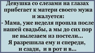 После свадьбы прошла неделя, а молодые до сих пор не вылезают из постели.  Сборник весёлых Анекдотов