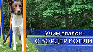 У нас проблемы со слаломом