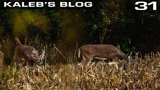 Hunting 90yd Off A Main Road, Ground Hunting | Kaleb’s Blog