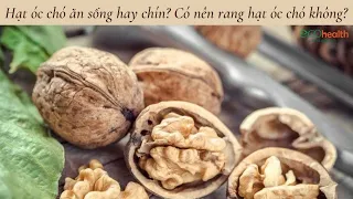 Hạt óc chó ăn sống hay chín? Có nên rang hạt óc chó không?