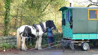 Horse Drawn Traveller in Britain