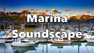 Marina Soundscape | Relaxing Background Sounds