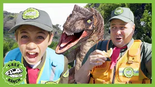 Park Ranger Andy Turns Into a DINOSAUR! Dino DNA | T-Rex Ranch Dinosaur Videos