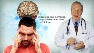 Why Sleep Is Important For Our Brain? [Watch This Video To Find Out]