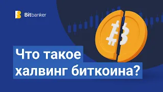 Что такое халвинг биткоина и что ждет BTC в 2024 году?