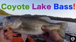 Bass Fishing at Coyote Lake