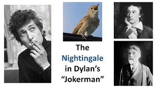 The Nightingale in Dylan's "Jokerman"