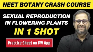 SEXUAL REPRODUCTION IN FLOWERING PLANTS in One Shot - All Theory & PYQs | Class 12 | NEET