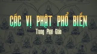 CÁC VỊ PHẬT PHỔ BIẾN TRONG ĐẠO PHẬT | Tên gọi, danh hiệu và hình tượng tượng tương ứng