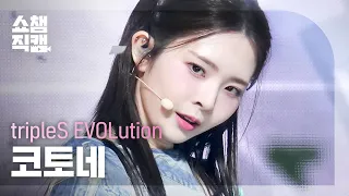 [쇼챔직캠 4K] tripleS EVOLution Kotone - Invincible (트리플에스 에볼루션 코토네 - 인빈시블)|Show Champion|EP.496|231018