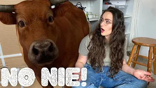 ODGRACAM WSZYTKO BO SIĘ WKURZYŁAM 🤬- MOJE DOMOWE KORYTKO 🐷🤷🏼‍♀️  zabawny vlog 🌿