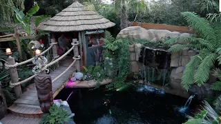 Man Transforms Garden Into Tropical Paradise