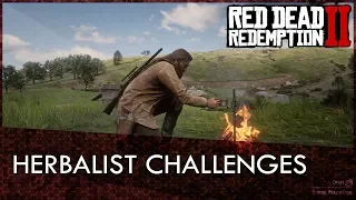 Red Dead Redemption 2 Herbalist Challenges Guide