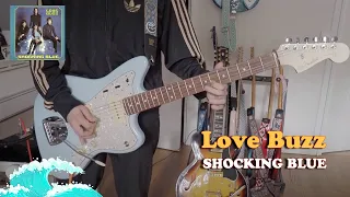 Nirvana/Shocking Blue - Love Buzz (Surf-Rock cover)