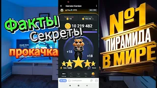 Hamster Kombat 🐹 -  Топ 1 мира | ФАКТЫ и СЕКРЕТЫ | Прокачка | Как вывести деньги? #hamsterkombat