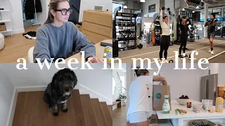 week in my life: dying my hair, workouts,  spending time at home with Payton & more!