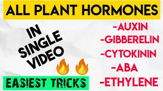 Super Trick To Learn "ALL PLANT HORMONES" | One Shot Video | NEET