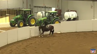 2023 Quarter Horse Congress L1 Amateur Equitatoin Over Fences Peter Sloane on Ae Hot N Sonny