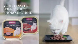 СуперКэтс - выставки кошек - вкусно нашим четвероногим друзьям