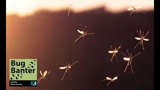 Episode 17: Mosquitoes Matter: Untangling Myths & Mastering Management