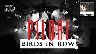 Birds In Row - Pilori | Harsh Drums Cover  [🎧 Headphone recommended] #kitatakpowertapiada