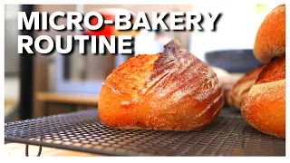 MY BAKING ROUTINE AT THE MICRO-BAKERY