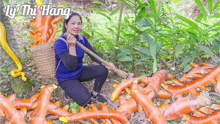 Harvesting Tumeric & Goes to the Market Sell - Harvesting & Cooking || Ly Thi Hang Daily Life