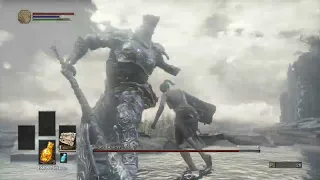 DS3 Iudex Gundyr Shield Only Lv 1