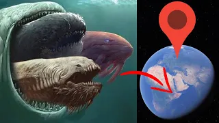 Bloop, Megalodon, Blue Whale, Shark, Giant Squid In Real Life on Google Earth! Deep Sea Monsters
