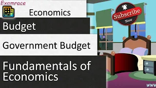 Understanding Government Budget: Fundamentals of Economics