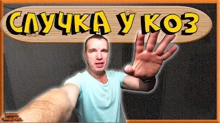 🐐🐐 СЛУЧКА КОЗ! Как это происходит! Или что об этом знаю я... 🤔🤔