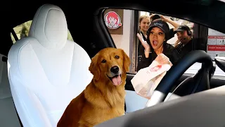 Sending DOG in Tesla Autopilot Through Drive THRU!