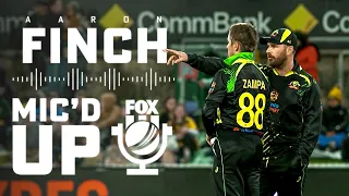 Mic'd Up | Finch guides Australia against England in Canberra