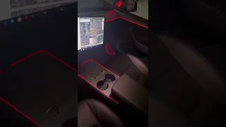 HIMI Ambient Lightning Installation on 2021 Tesla Model Y ( Danny LEDZ )