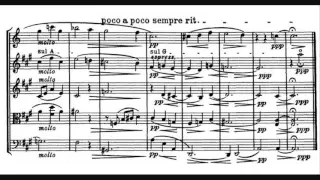 Max Reger - Clarinet Quintet, Op. 146
